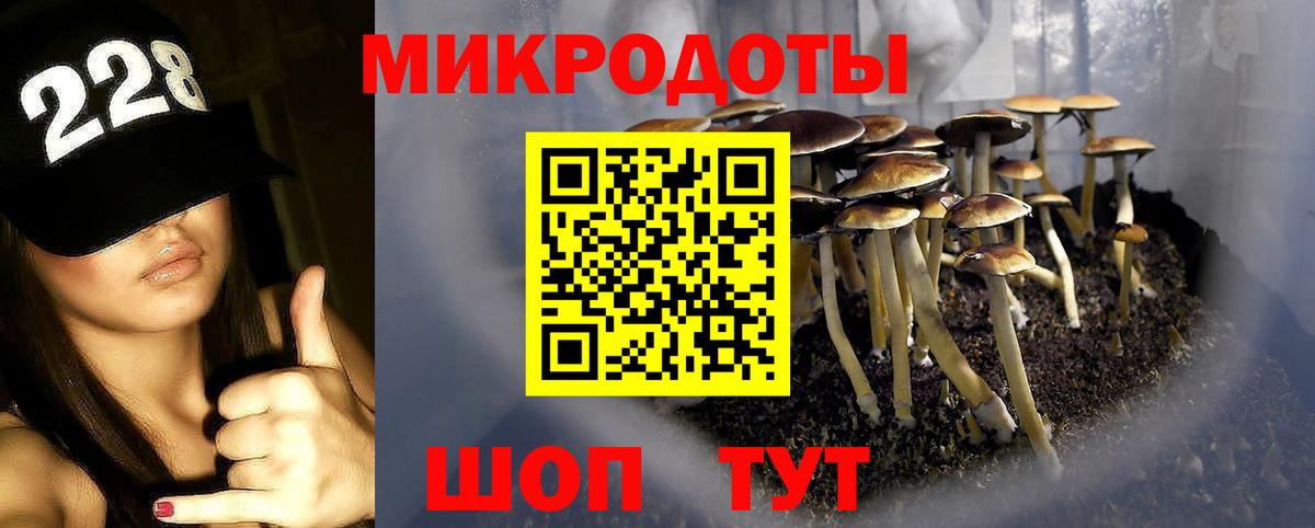 Галлюциногенные грибы Psilocybe  Вход с VPN  Псилоцибиновые грибы ЛСД  Гатчина 